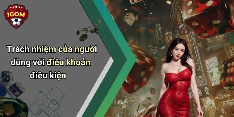 Trách nhiệm của người dùng với điều khoản điều kiện